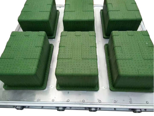 แม่พิมพ์ EPS กล่องปลา ISO9001 สำหรับบรรจุภัณฑ์ผักผลไม้สด